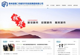 紫云城市开发投资集团有限公司