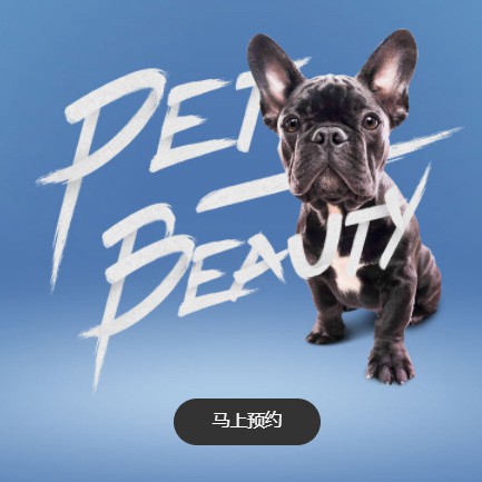 紫云宠物中心小程序开发