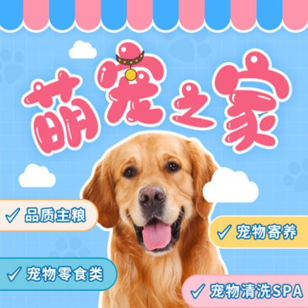 紫云萌宠之家小程序开发